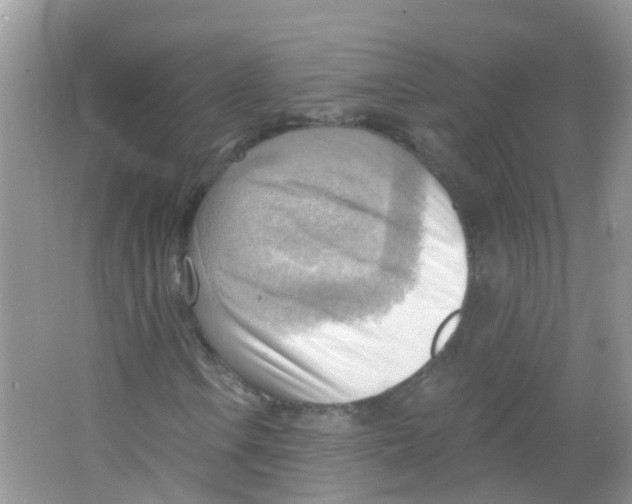 X0000063531106200602172235