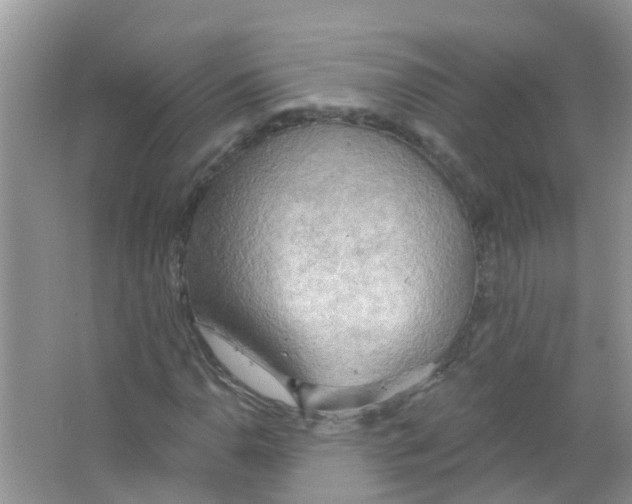 X0000063531110200602172235