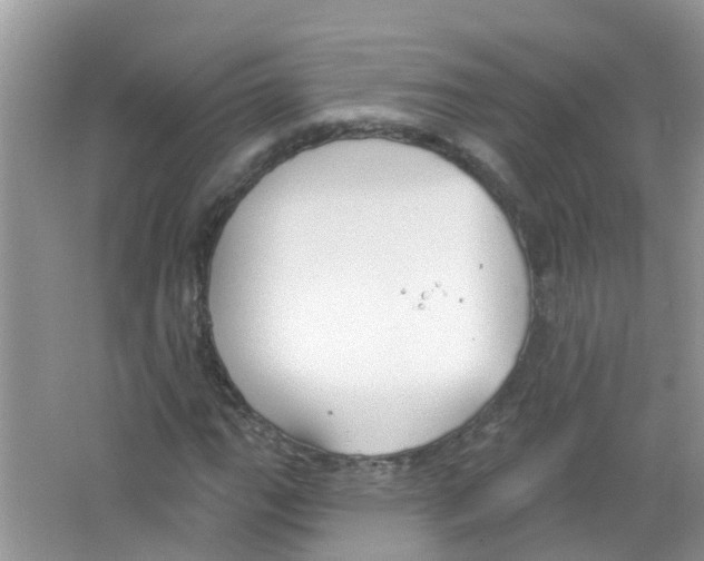 X0000063531111200602172235