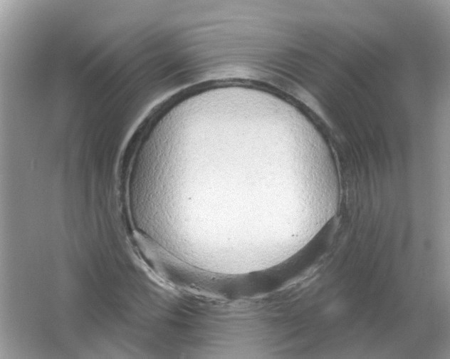 X0000063531116200602172235