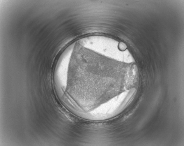 X0000063531121200602172235