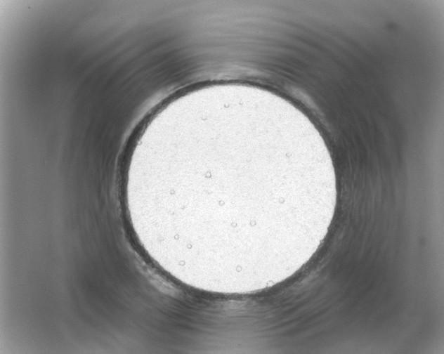 X0000063531122200602172235