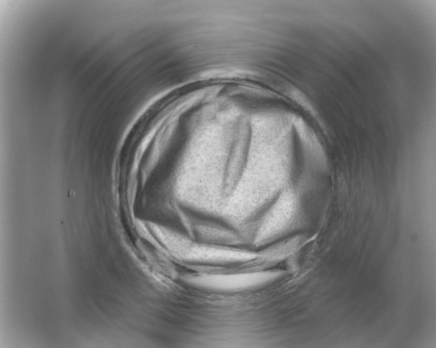 X0000063531124200602172235