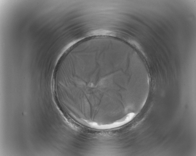 X0000063531125200602172235