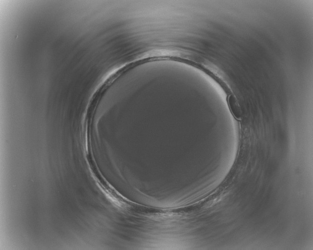 X0000063531127200602172235