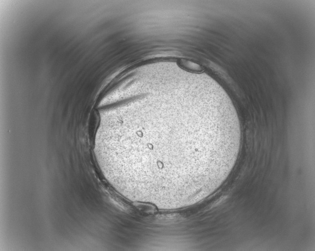 X0000063531129200602172235