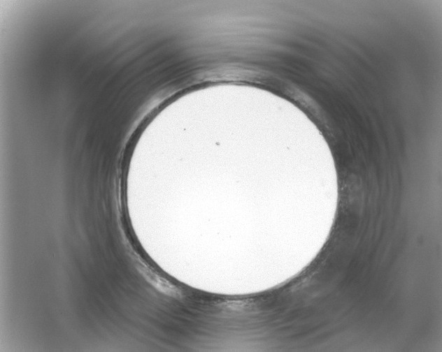 X0000063531130200602172235