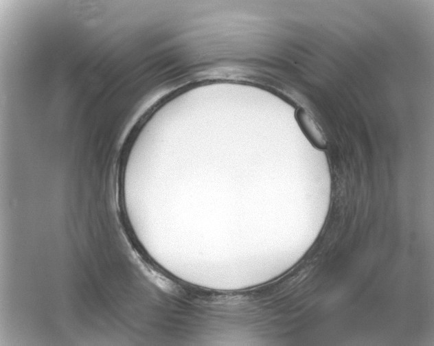 X0000063531131200602172235