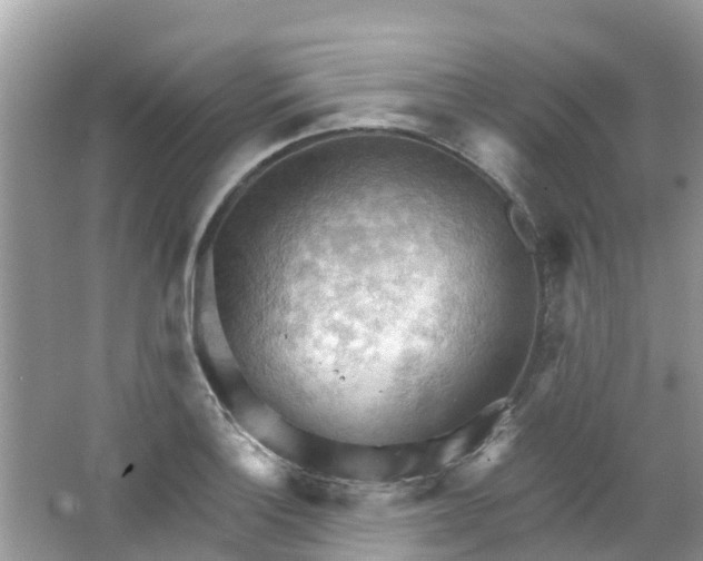 X0000063531132200602172235