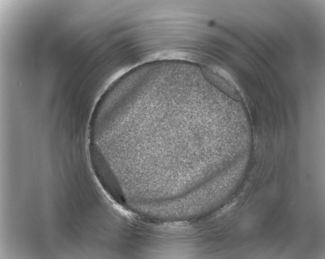 X0000063531133200602172235