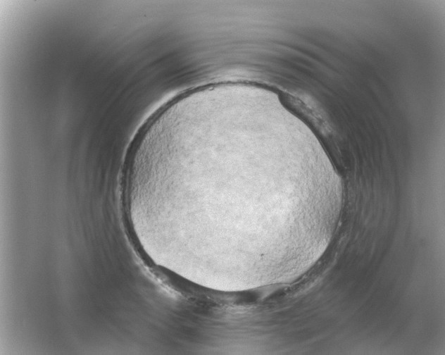 X0000063531134200602172235