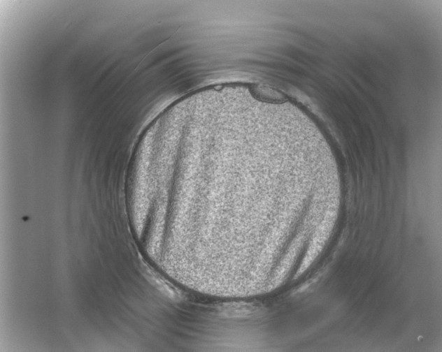 X0000063531137200602172235