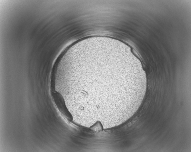 X0000063531139200602172235