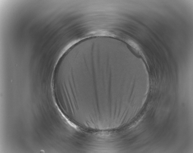 X0000063531141200602172235