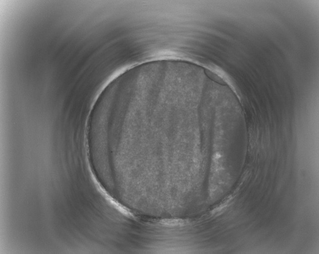 X0000063531142200602172235