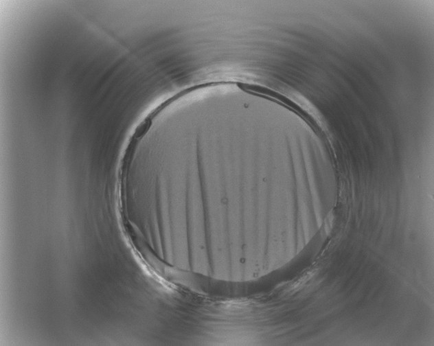 X0000063531144200602172235