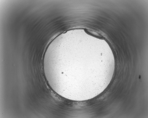 X0000063531145200602172235