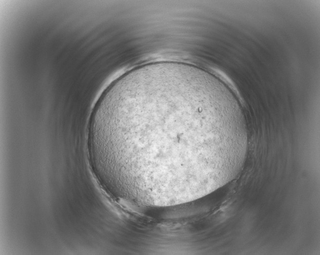 X0000063531146200602172235