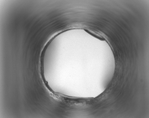 X0000063531147200602172236