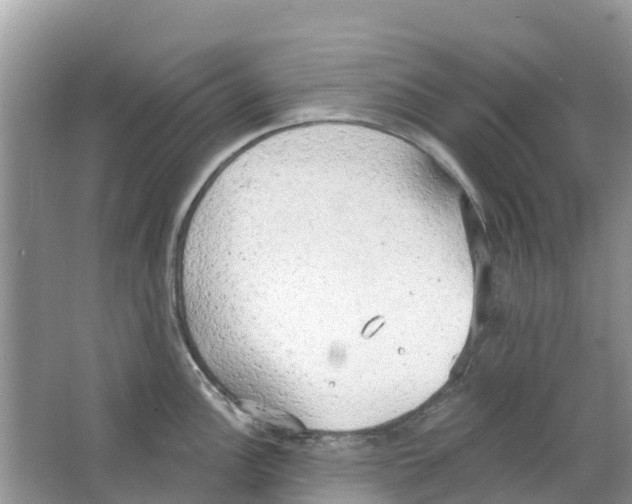 X0000063531148200602172236