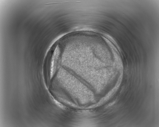 X0000063531149200602172236