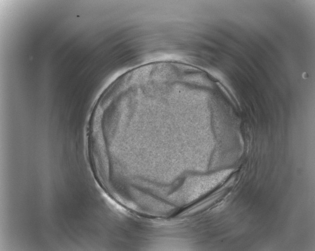 X0000063531151200602172236