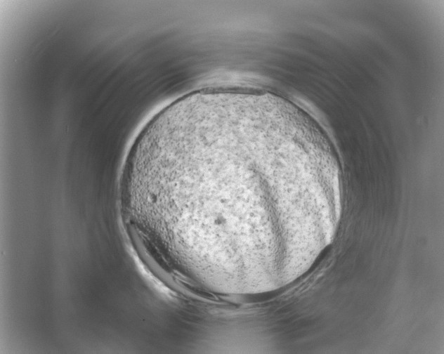 X0000063531152200602172236