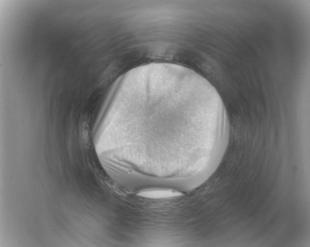 X0000063531154200602172235