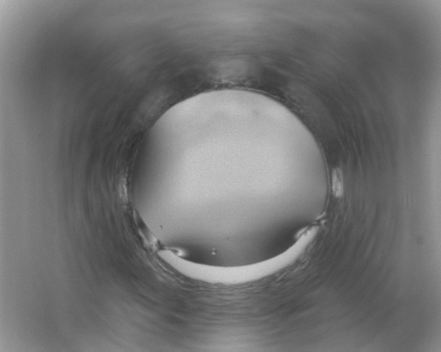 X0000063531155200602172235