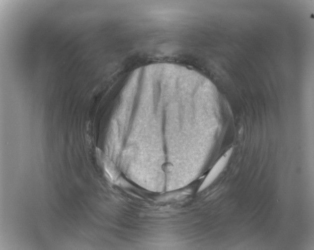 X0000063531156200602172235