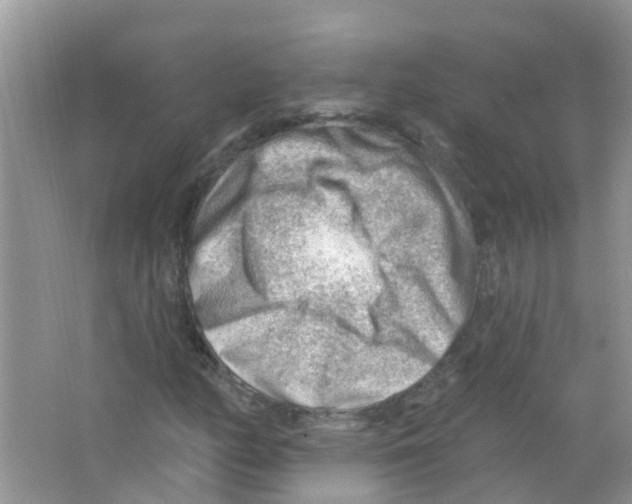 X0000063531158200602172235