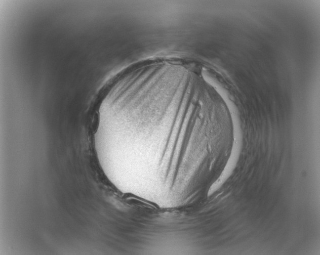 X0000063531160200602172235