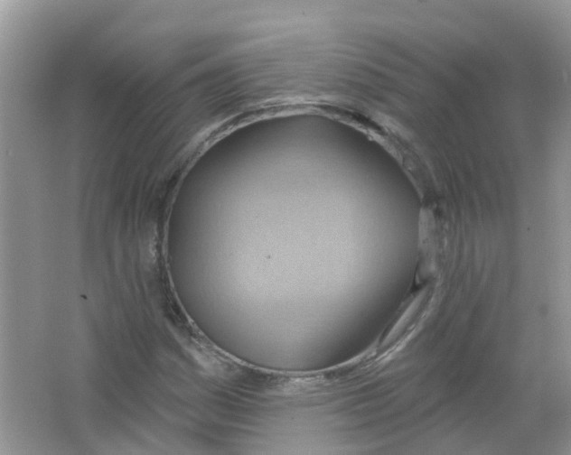 X0000063531161200602172235