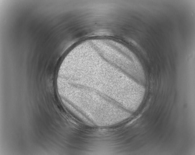 X0000063531162200602172235