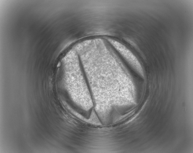 X0000063531163200602172235