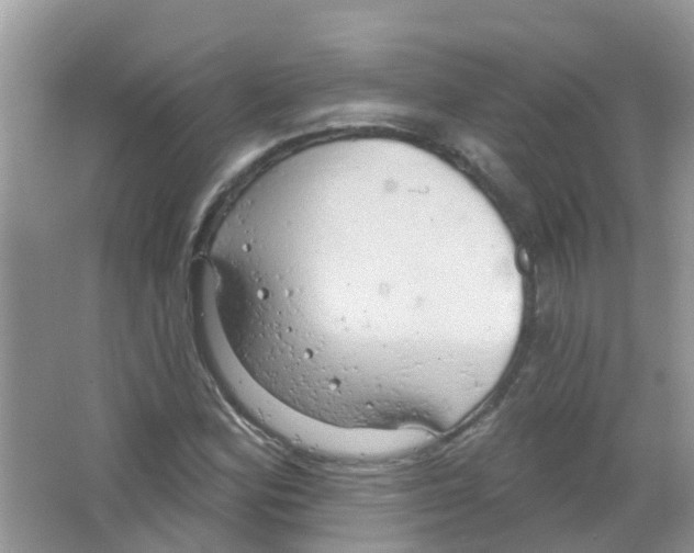 X0000063531164200602172235