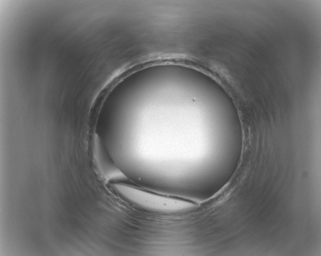 X0000063531165200602172235