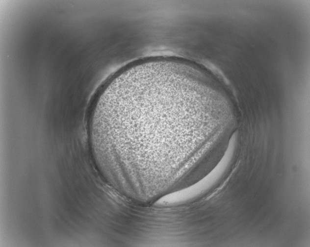 X0000063531167200602172235