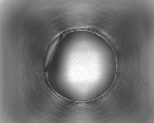 X0000063531169200602172234