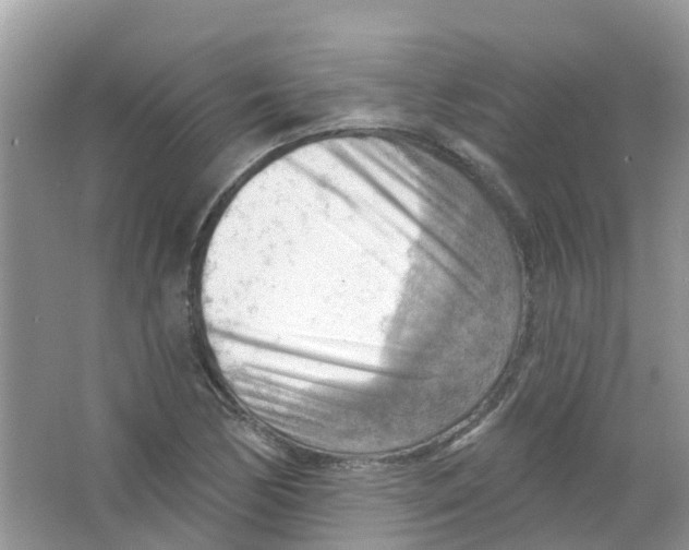 X0000063531170200602172234