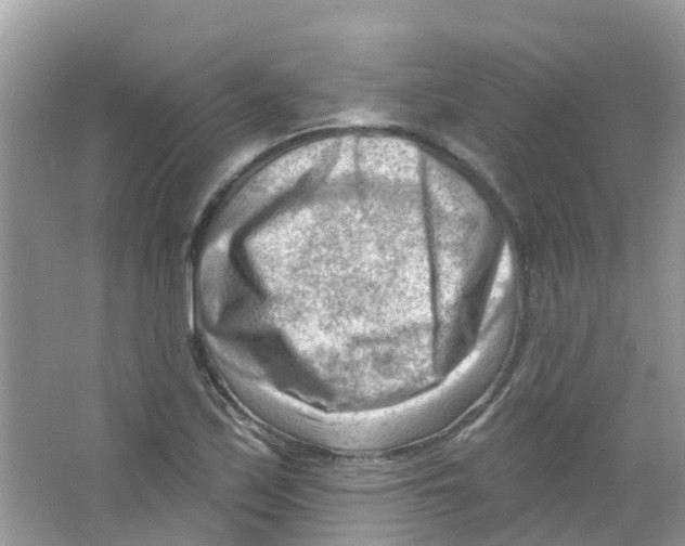 X0000063531171200602172234