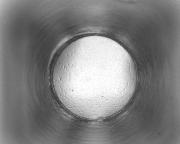 X0000063531172200602172234