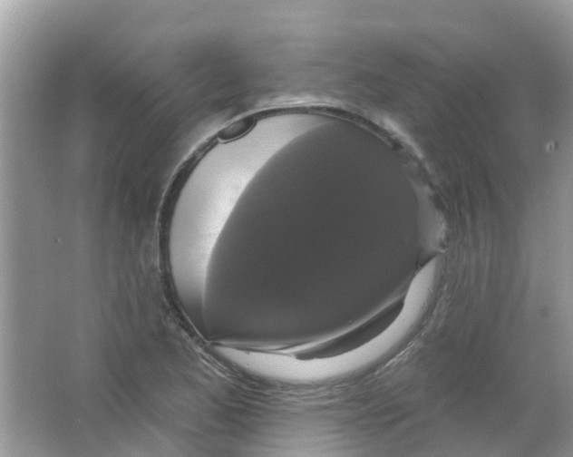 X0000063531173200602172234