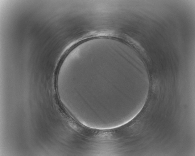 X0000063531174200602172234