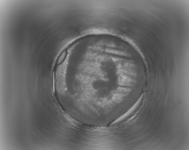 X0000063531175200602172234