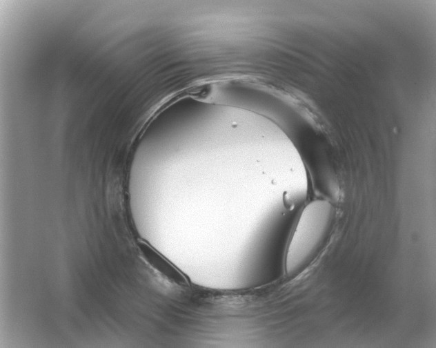 X0000063531177200602172234