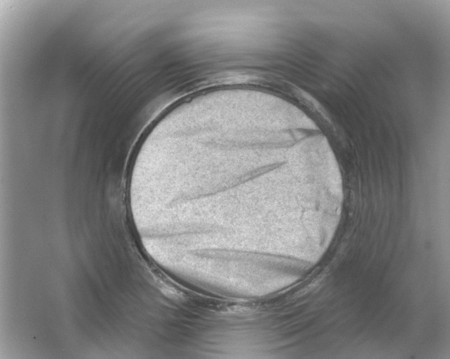 X0000063531178200602172234