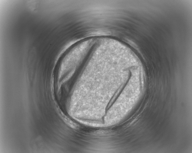 X0000063531179200602172234