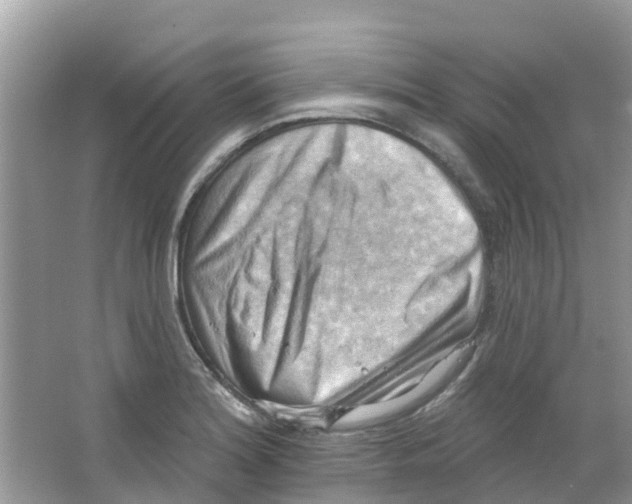 X0000063531180200602172234