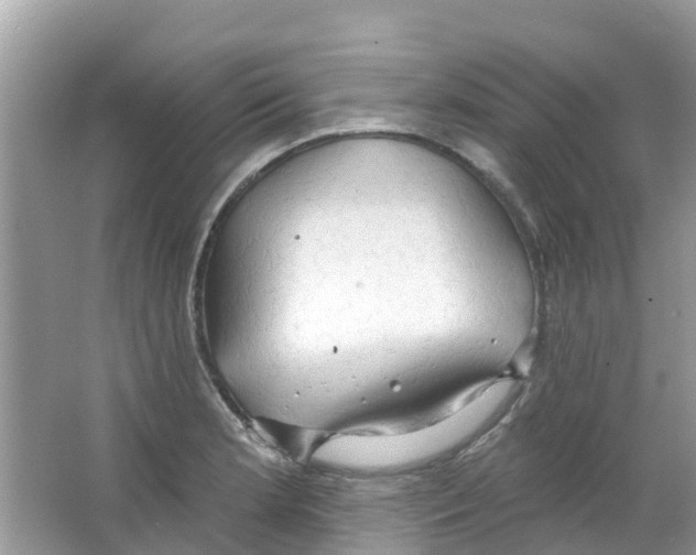 X0000063531181200602172234